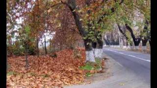Carlos Barocela. PARA TU OTOÑO.