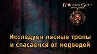 [2] Baldur's Gate - Пристаём к незнакомцам и спасаемся от медведей  | Прохождение на русском