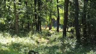 Dave French - Weiss Realty - Dunn County "Whitetail Valley"
