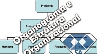 Estrutura Organizacional e Organograma - Processo de organização (6/6)