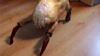 Headcrab