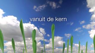 PowerCell, hoge opbrengst en voederwaarde