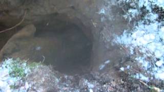 Охота на Лису, видео Рогожина Сергея