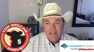 Feeder Flash 6 /4:  Top Dollar