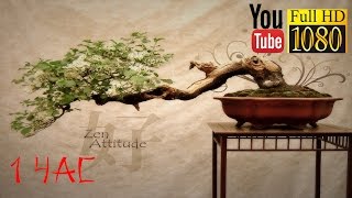 HD ? 852 Гц ? Энергия Ци ? Лучшая Музыка для Йоги, Цигун, Рейки ? Дзен Релакс & Баланс