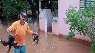 Cheia do rio das velhas deixa pessoas desabrigadas em várzea da palma MG