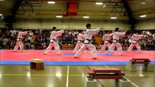 2011 North Korea National Taekwondo Demonstration Team 3/14