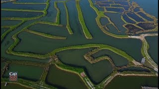 Cap Sud Ouest, la Seudre, histoires d'eaux