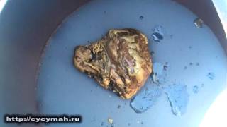 Челбанья - золотой самородок. Сусуман. Колыма