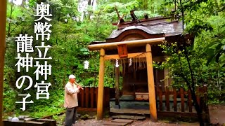 龍神の子が東御手洗池に！あなたも見える～幣立神宮(熊本)バーチャル参拝