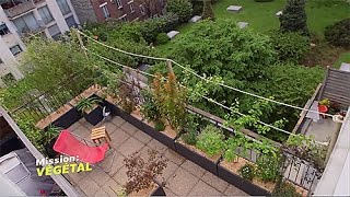 OCCULTATION VÉGÉTALE D'UN BALCON EN VILLE