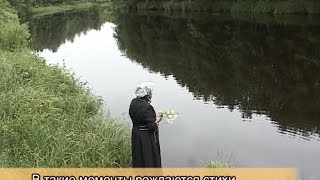 Vauktan vesin starinad ★ Lebedeva