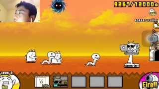 Battle Cats Intro: Nerd cat / Hacker Cat