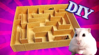 DIY Como fazer um Labirinto para Hamster