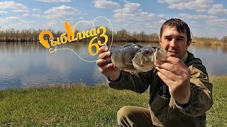 Крупный окунь с размером с Щуку! рыбалка на спиннинг