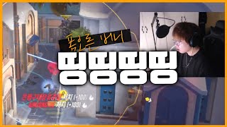 폼오른 버니 띵띵띵띵띵ㄸㅇㄸ이ㄸㅇ띵