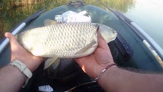 ХАДЖИБЕЕВСКИЙ лиман,БЕЛЫЙ АМУР на ПОПЛАВОК!nrg FISHING