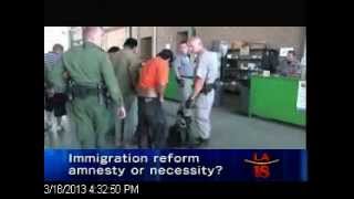 Immigration Reform: Amnesty or Necessity?