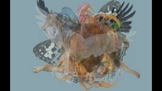 Первое животное, которое вы видите, многое говорит о вашей личности
