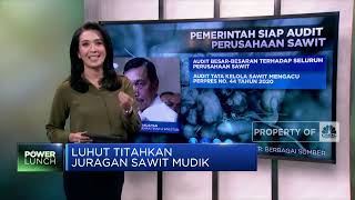 Luhut Titahkan Juragan Sawit Mudik