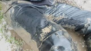 nass in Leder ... dann schlammig - wet in leather ... then muddy ;-)