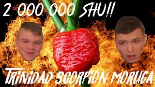 NEJPÁLIVĚJŠÍ PAPRIČKA NA SVĚTĚ!!