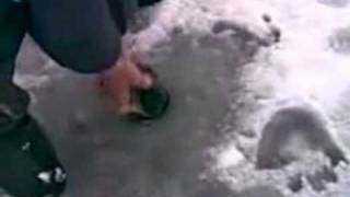 Русская рыбалка