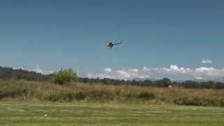 Sam2b - T-Rex 700E - KDE Invitational 2013