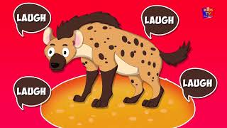 Animal Sound Song in Russian | звук песня животных | узнать звуки животных