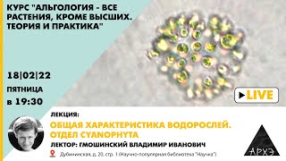 Лекция Владимира Гмошинского "Общая характеристика водорослей. Отдел Cyanophyta" курса "Альгология"