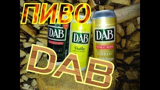 Пиво DAB из Германии Обзор и дегустация пива от Коктейль ТВ
