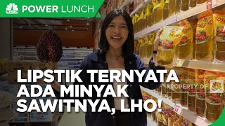 Umur Berapa Kamu Tahu Kalau Lipstik Ada Sawitnya?