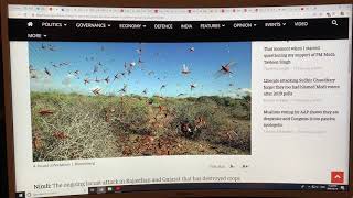 Sex-Crazed Grasshopper (Locust) Swarms Amplified by Climate Change Caused Extreme Desert Rainfall