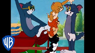 Tom et Jerry en Français | Classiques du dessin animé 103