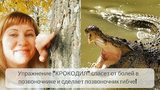 Упражнение "КРОКОДИЛ" спасет от болей в позвоночнике и сделает позвоночник гибче!