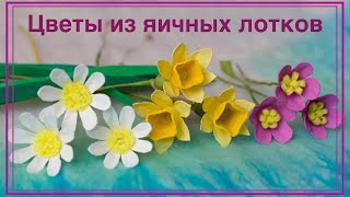 Цветы из яичных лотков. Нарцисс, ромашка, фиалка. Flowers made of egg box. Narcissus, chamomile