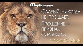 Мудрые мысли, полезные цитаты для всех и каждого 1.