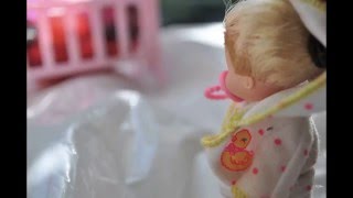 Baby Barbie's Dream Day