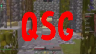 2 Runden QSG