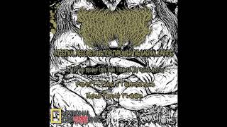 Intestinal Secretion - Intestinal Reconstruction Through The Vaginal Orifice - FULL DEMO STREAM