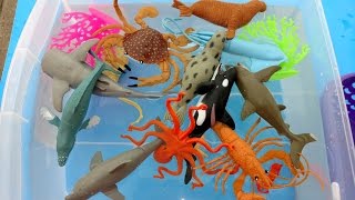 Learn Names Of SEA ANIMALS-Preschool Children Fun- Sea Animal Toy Unboxing-Shark Toys,Whale,Crab
