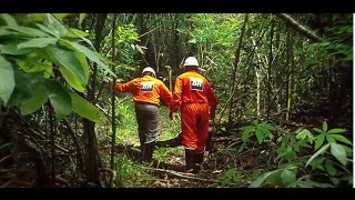 Memória Petrobras | Hoje tem História Ep.3: Riqueza na Selva
