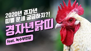 2020년 닭띠 운세.? 경거망동 하면 안돼는 나이 ! 용한점집,용한무당, 부천,일산 (녹수부인당,010-2974-8999)