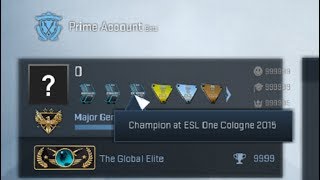 CS:GO - Inventory and Medal Changers