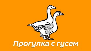 Два веселых гуся гуляют по улицам города