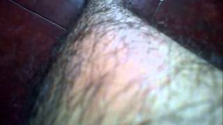 Giant Hairy leg tour