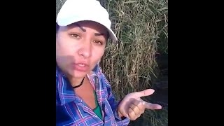 Капризная рыба , Capricious fish, рыбалка в Луганске