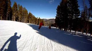 DynAccess Monoski 2