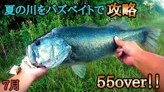 夏の川はバズベイトが最強？50upが連発！！