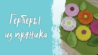 Герберы Ирины Ляминой (временный файл)